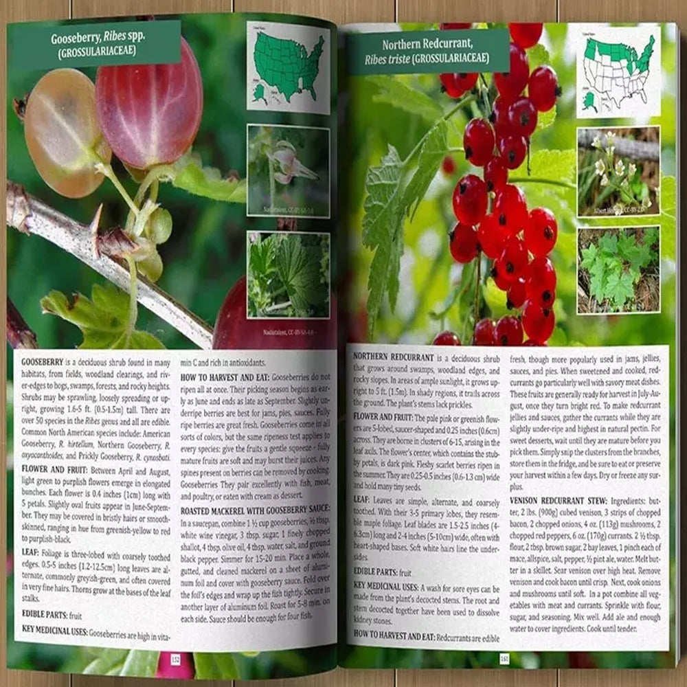The Forager's Guide to Wild Foods™ | The Complete North American Foraging Handbook