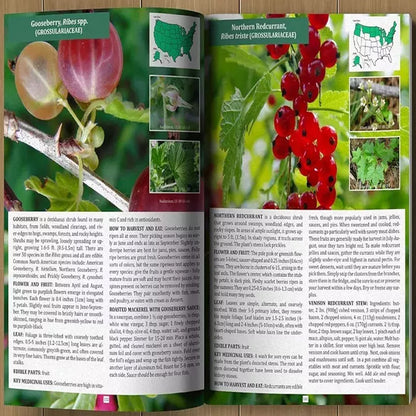 The Forager's Guide to Wild Foods™ | The Complete North American Foraging Handbook