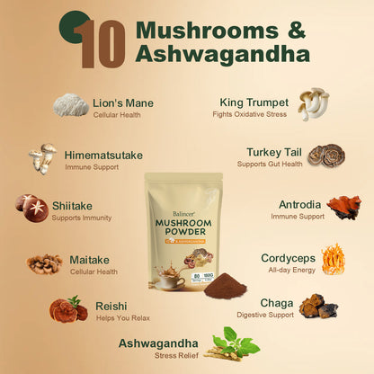 Balincer Mushroom Powder – Wellness Blend | 80 Servings