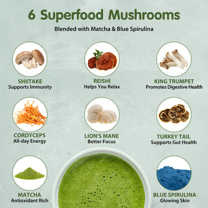 Balincer Mushroom Matcha – Energy Blend | 30 Servings